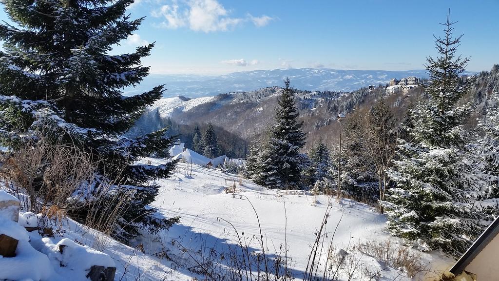 Holiday Home Relax Kopaonik Camera foto